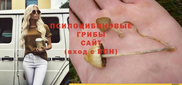 тгк Краснослободск