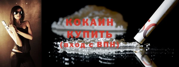 тгк Краснослободск