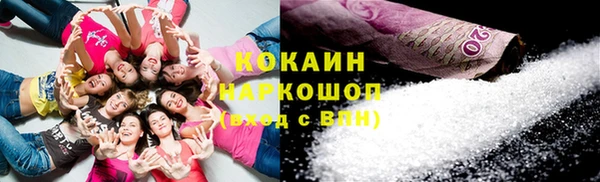 тгк Краснослободск