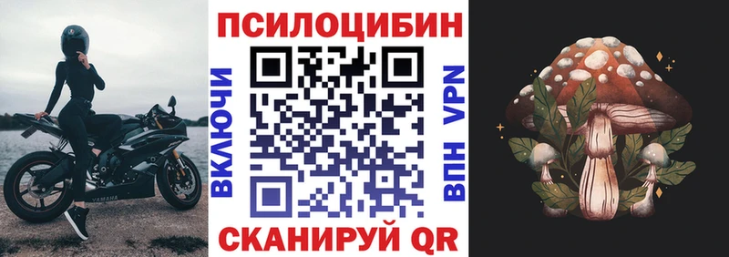 Купить закладки  Рошаль  Галлюциногенные грибы GOLDEN TEACHER 