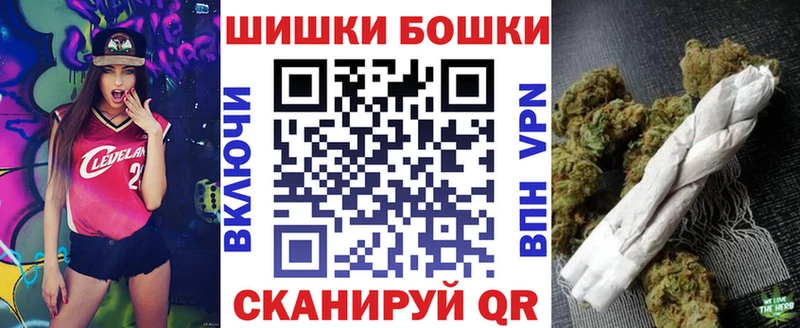 Бошки Шишки SATIVA & INDICA  Купить закладки  Рошаль 